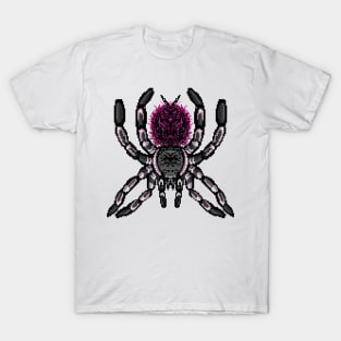 Tarantula Pixel Art 2 T-Shirt